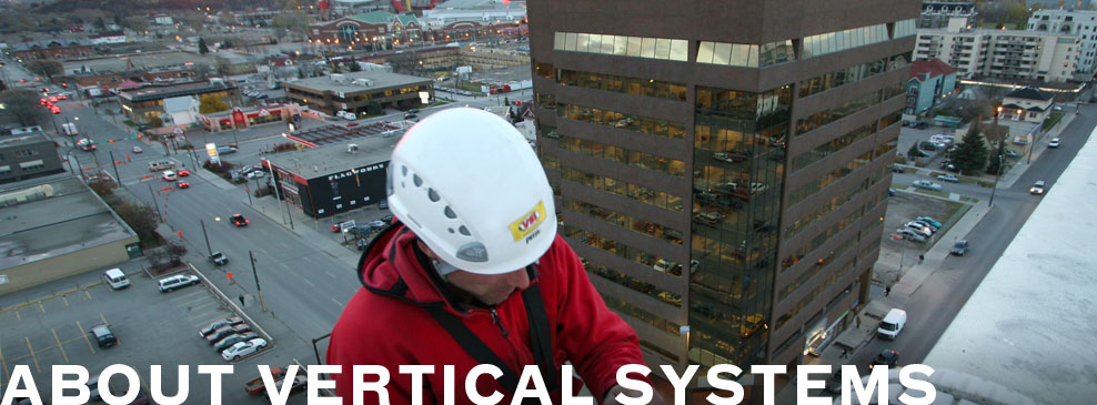 About Vertical Systems International